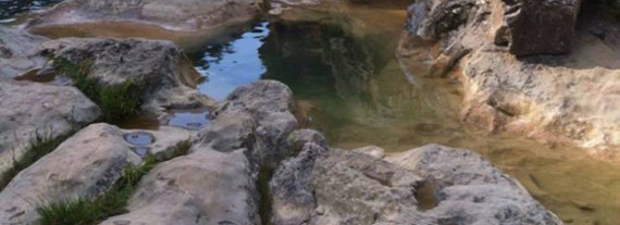 stepping stones to understanding dyslexia photo of stepping stones